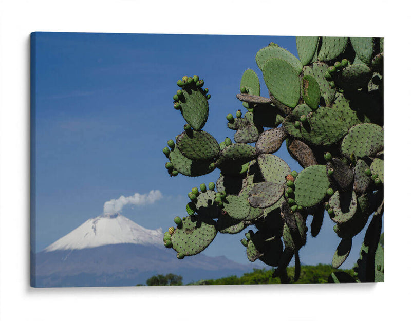 El volcán Popocatépetl II - Jaime López Portillo  | Cuadro decorativo de Canvas Lab