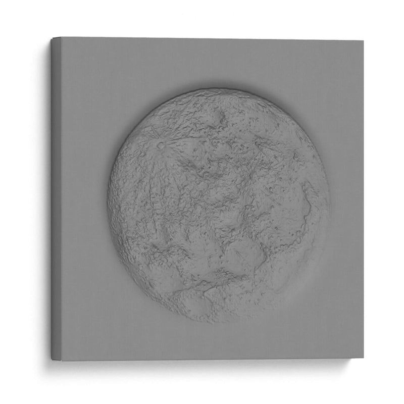 RELIEVE LUNAR - SoupierVaro | Cuadro decorativo de Canvas Lab