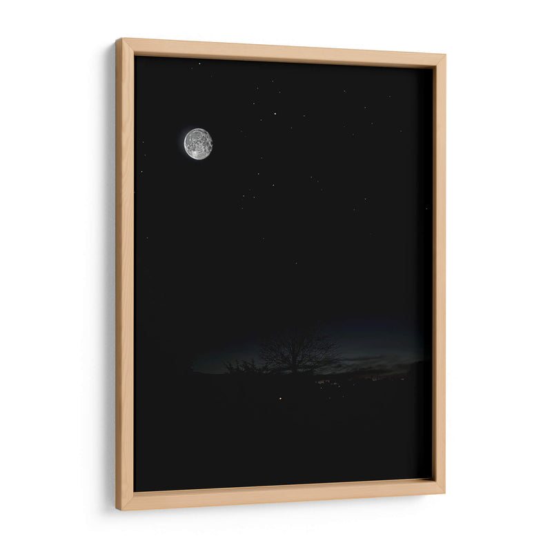 La Luna y el árbol 1 - SoupierVaro | Cuadro decorativo de Canvas Lab
