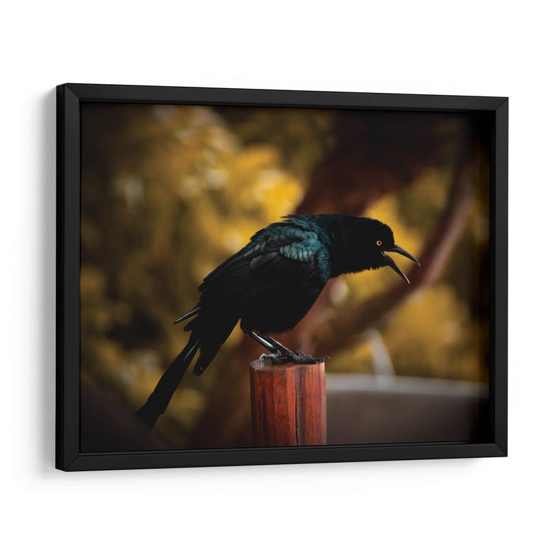 Cuervo en Amarillos - Chepo Murua | Cuadro decorativo de Canvas Lab