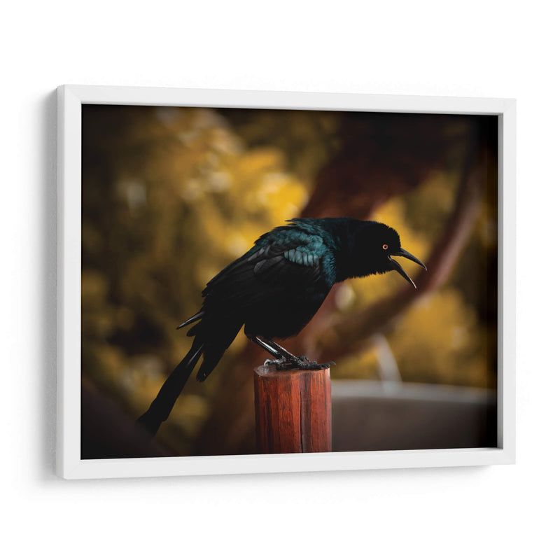 Cuervo en Amarillos - Chepo Murua | Cuadro decorativo de Canvas Lab