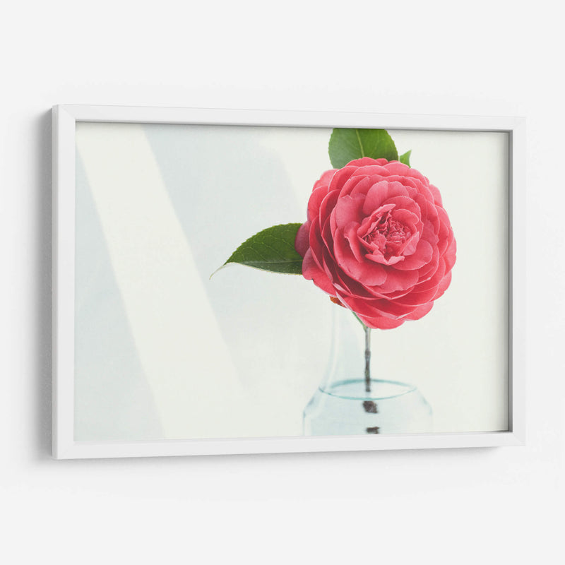 Una sola rosa | Cuadro decorativo de Canvas Lab