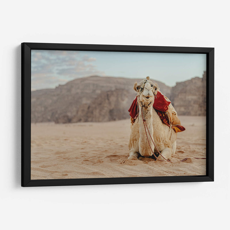 Camello en Wadi Rum, Jordania II - Emmanuel Ramírez | Cuadro decorativo de Canvas Lab