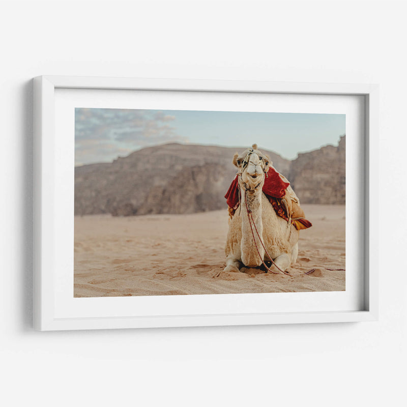 Camello en Wadi Rum, Jordania II - Emmanuel Ramírez | Cuadro decorativo de Canvas Lab