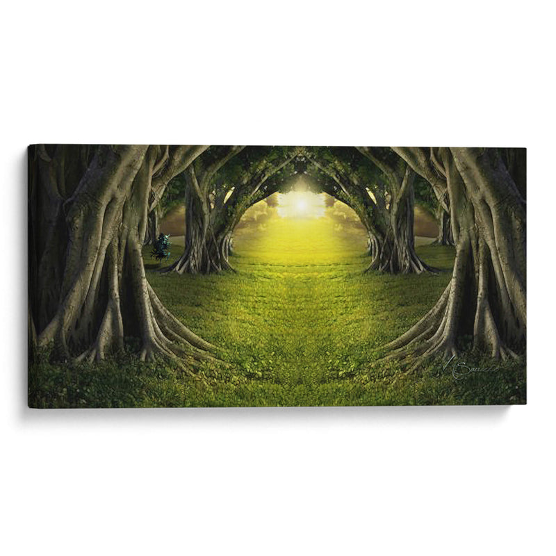 Bosque de luz - HSaucedo | Cuadro decorativo de Canvas Lab