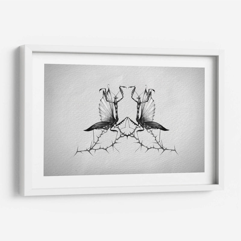 Mantis - Iván Terrible | Cuadro decorativo de Canvas Lab