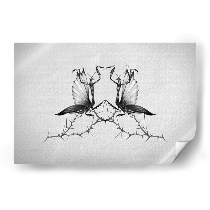 Mantis - Iván Terrible | Cuadro decorativo de Canvas Lab