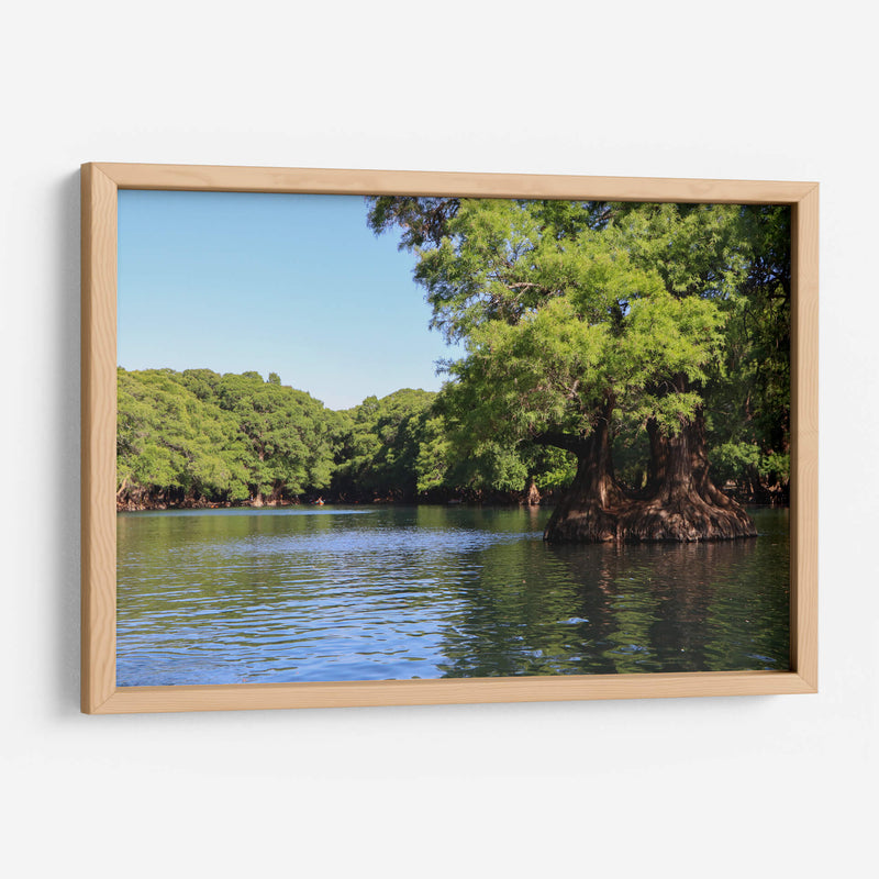 Árboles en el lago de Camécuaro - Luis Rodrigo Magaña Andrade | Cuadro decorativo de Canvas Lab
