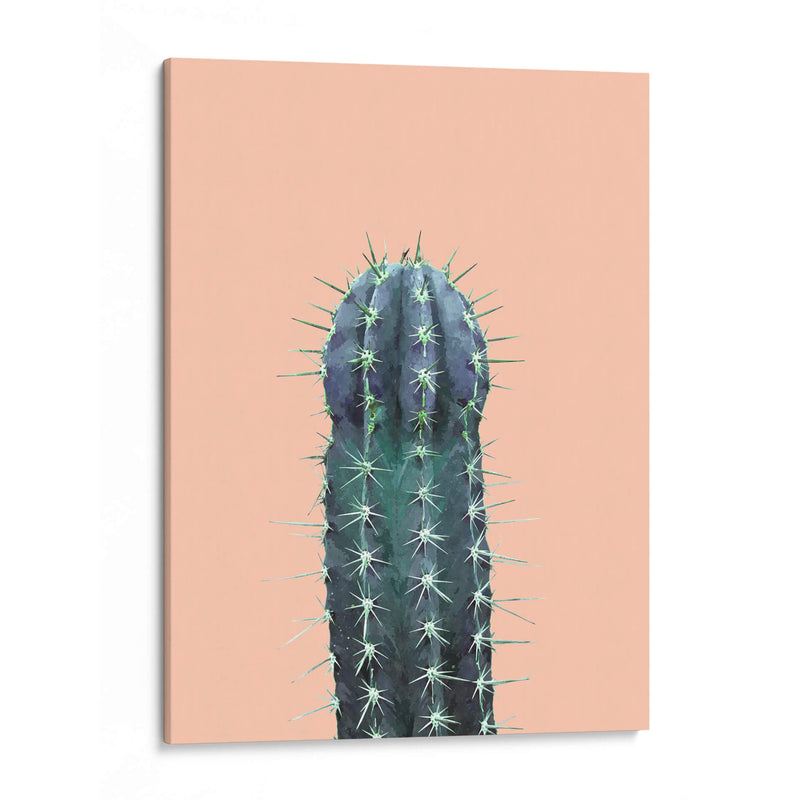 Cactus N1 - Alemi | Cuadro decorativo de Canvas Lab