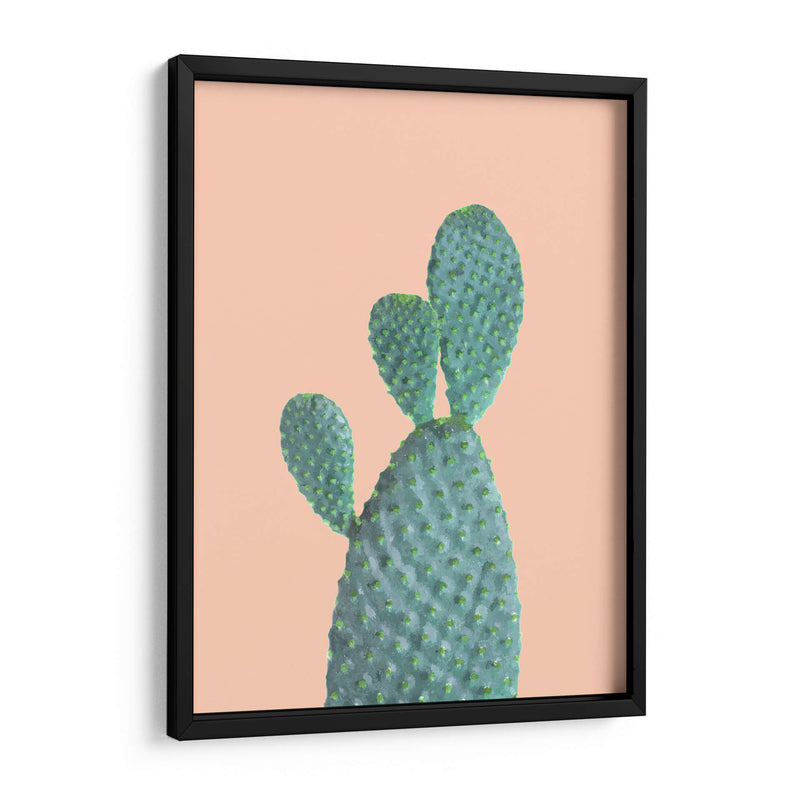 Cactus N2 - Alemi | Cuadro decorativo de Canvas Lab