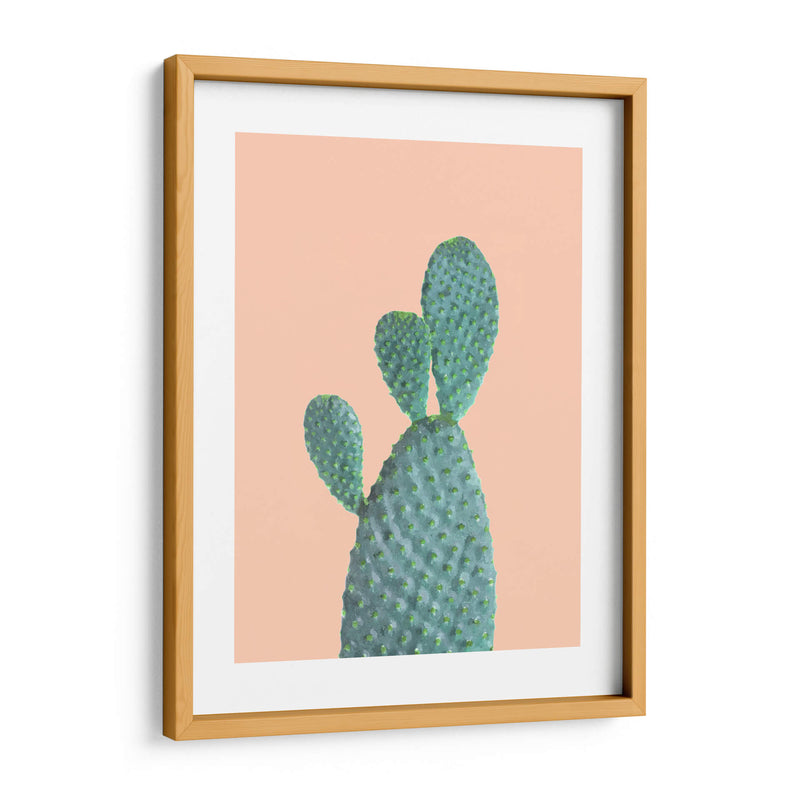 Cactus N2 - Alemi | Cuadro decorativo de Canvas Lab