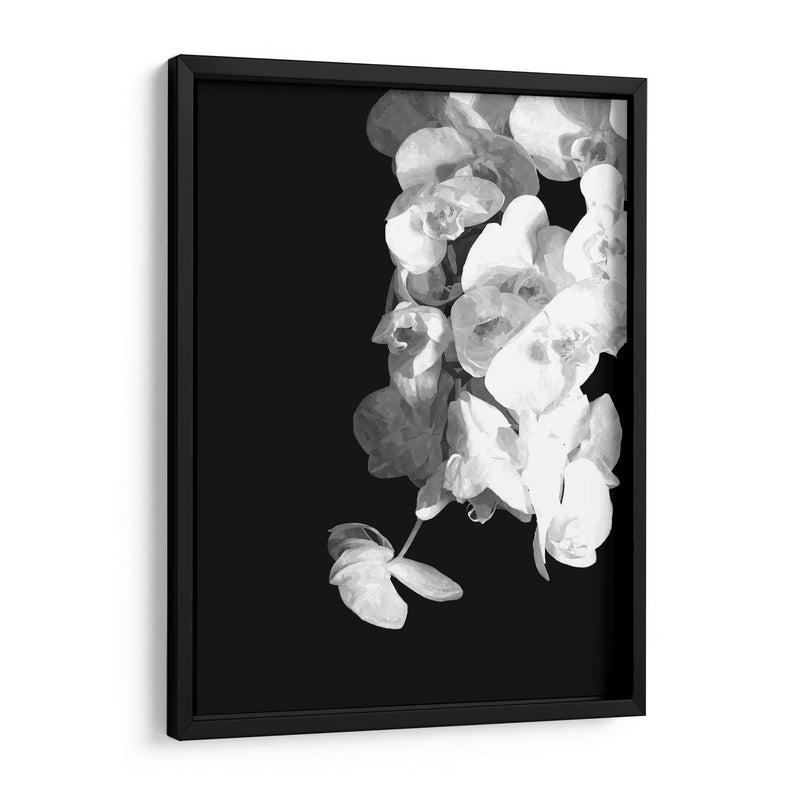 Orquídeas en blanco y negro - Alemi | Cuadro decorativo de Canvas Lab