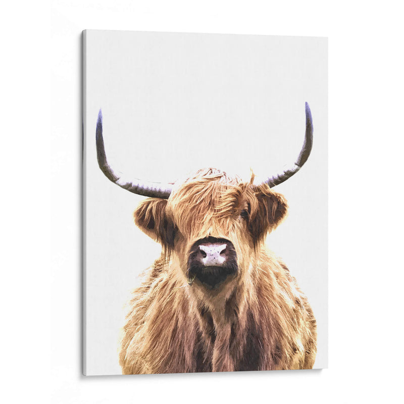 Vaca de las tierras altas - Alemi | Cuadro decorativo de Canvas Lab