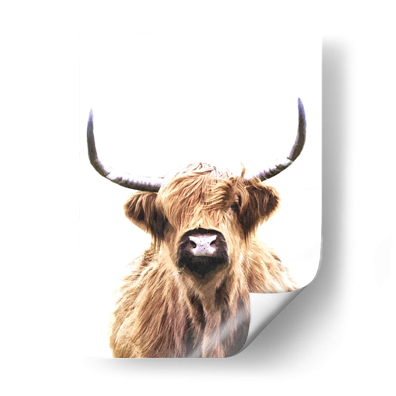 Vaca de las tierras altas - Alemi | Cuadro decorativo de Canvas Lab