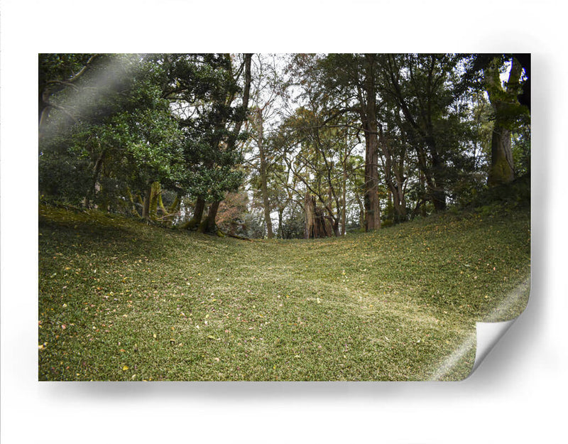 Colinas Verdes, Tokio, Japón - Luis Velasco | Cuadro decorativo de Canvas Lab
