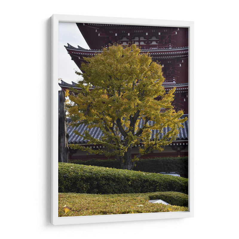 Gran Árbol, Tokio, Japón - Luis Velasco | Cuadro decorativo de Canvas Lab