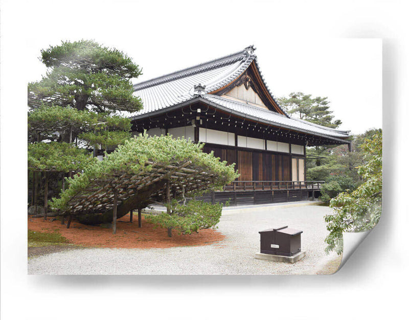 Naturaleza Verde, Palacio Imperial, Kioto, Japón - Luis Velasco | Cuadro decorativo de Canvas Lab