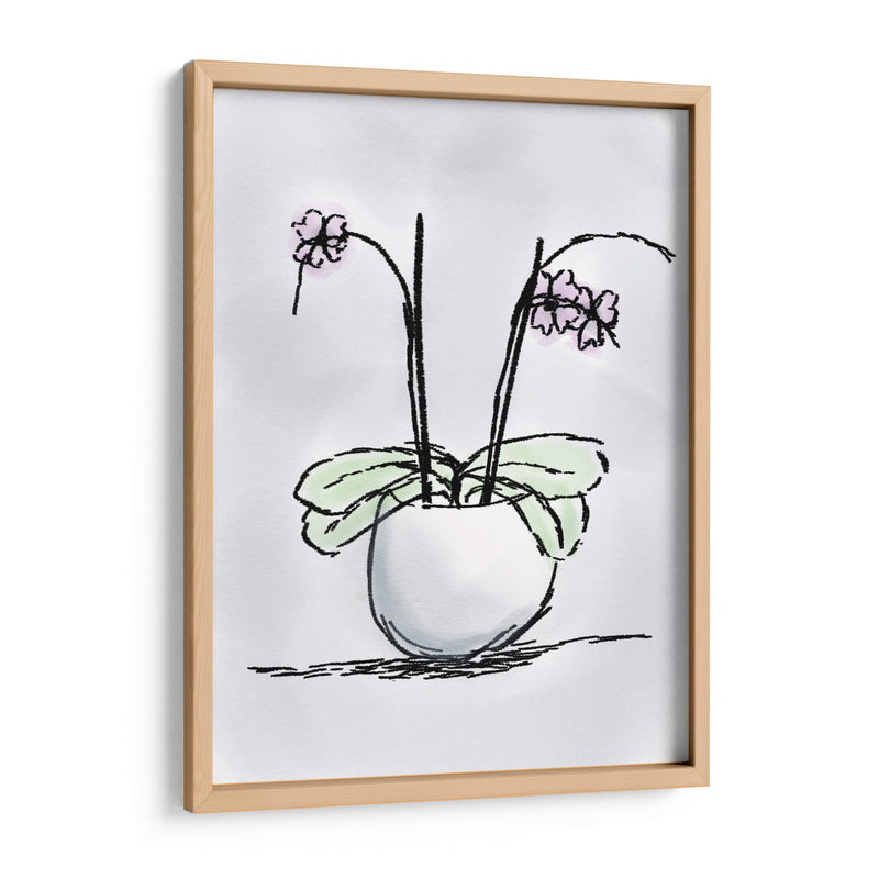 Orquídea - Torco | Cuadro decorativo de Canvas Lab