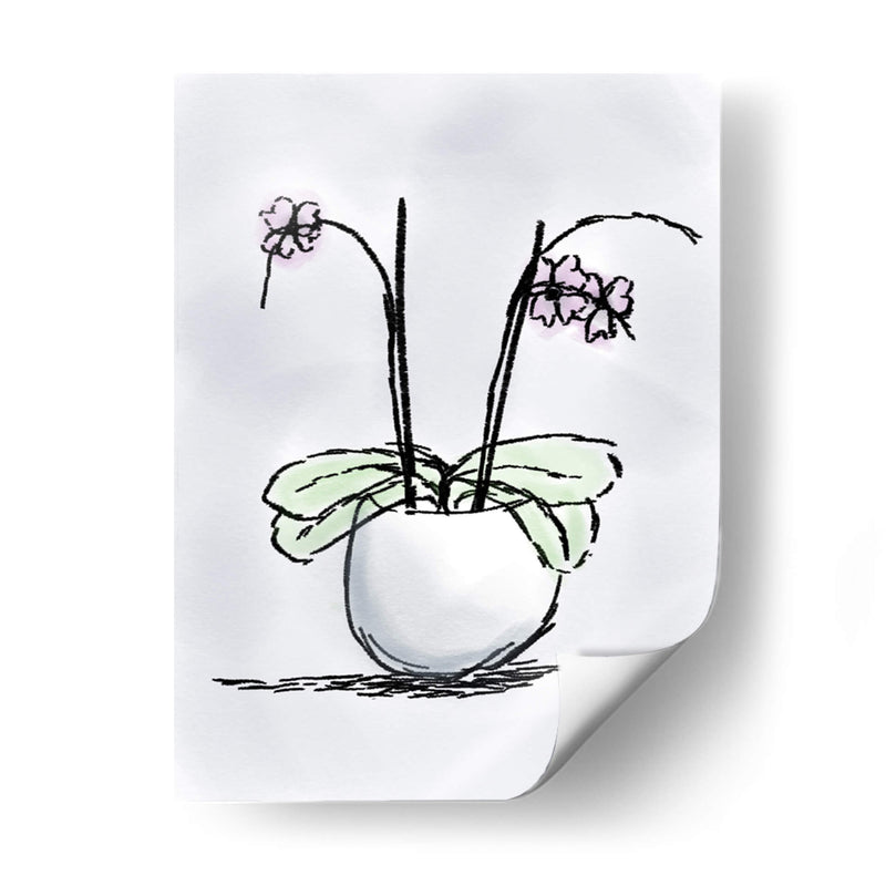 Orquídea - Torco | Cuadro decorativo de Canvas Lab