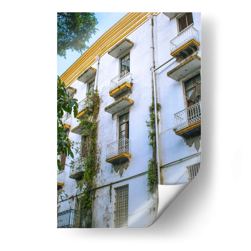 Balcones de Orizaba - Roz | Cuadro decorativo de Canvas Lab