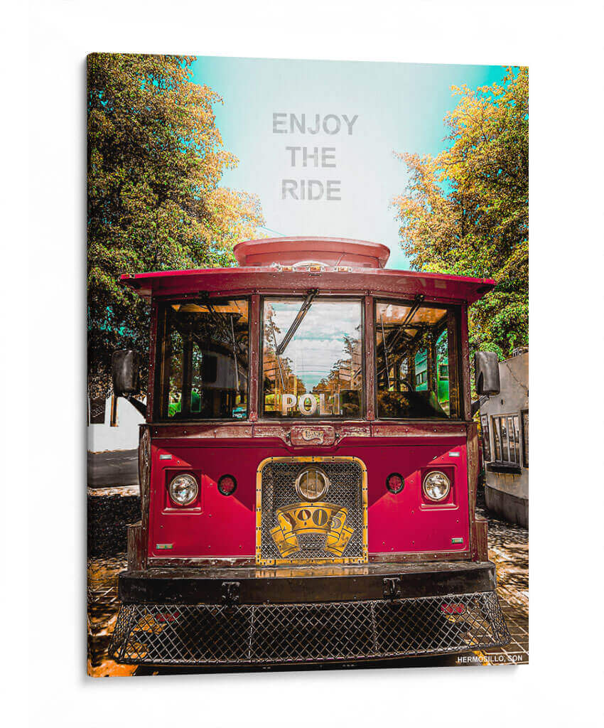 ENJOY THE RIDE - Ramón Márquez | Cuadro decorativo de Canvas Lab