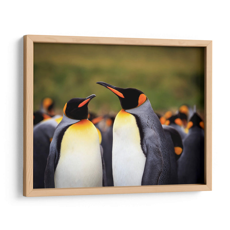 Pareja de Pingüinos - Carlos Montaño | Cuadro decorativo de Canvas Lab
