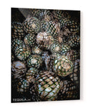 TEQUILA - Ramón Márquez | Cuadro decorativo de Canvas Lab