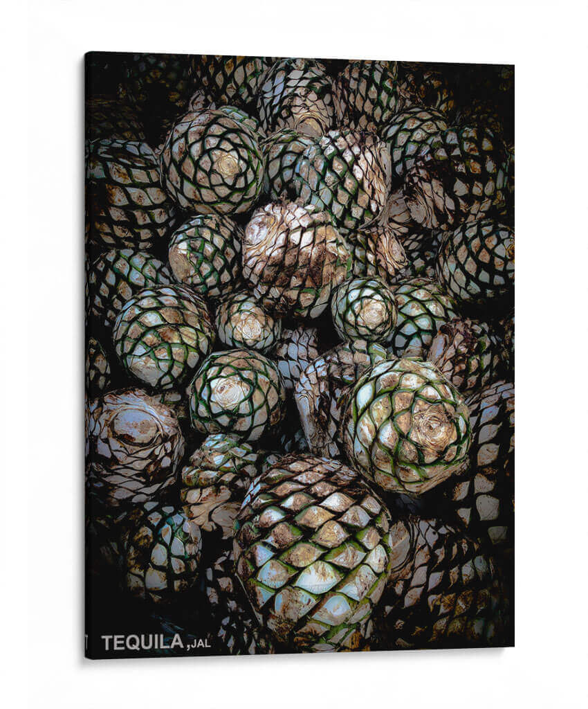 TEQUILA - Ramón Márquez | Cuadro decorativo de Canvas Lab