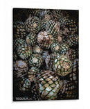 TEQUILA - Ramón Márquez | Cuadro decorativo de Canvas Lab