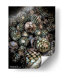 TEQUILA - Ramón Márquez | Cuadro decorativo de Canvas Lab