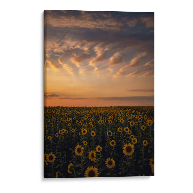 atardecer en el campo - Casados | Cuadro decorativo de Canvas Lab