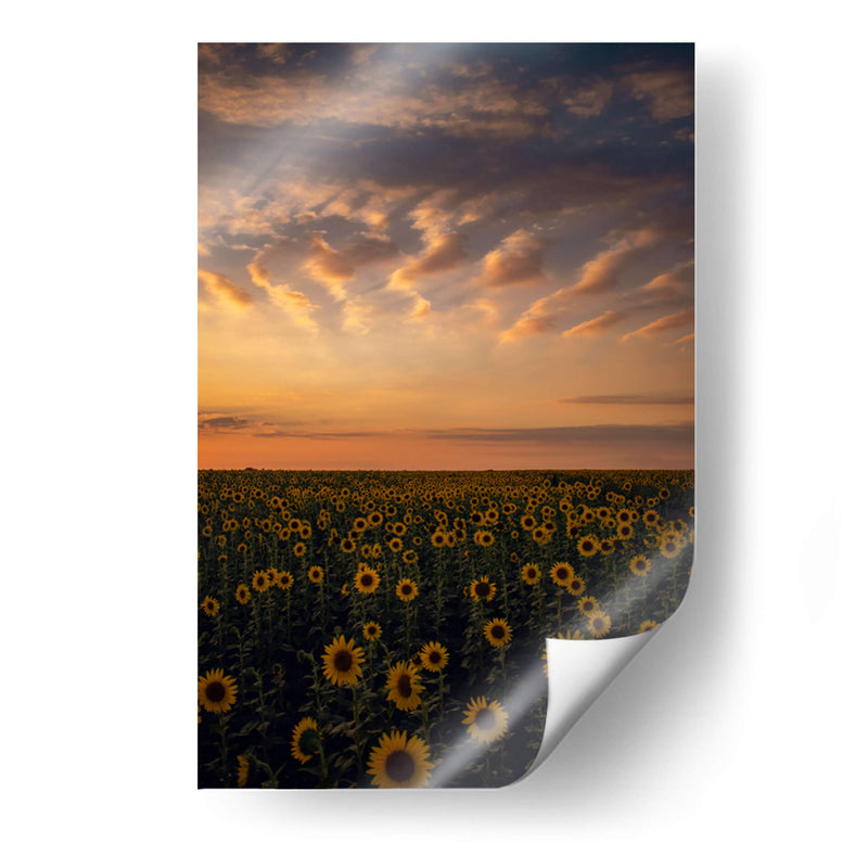 atardecer en el campo - Casados | Cuadro decorativo de Canvas Lab