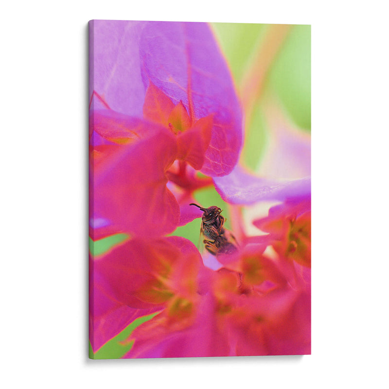 Insecto entre flores - Dreamer Studio | Cuadro decorativo de Canvas Lab