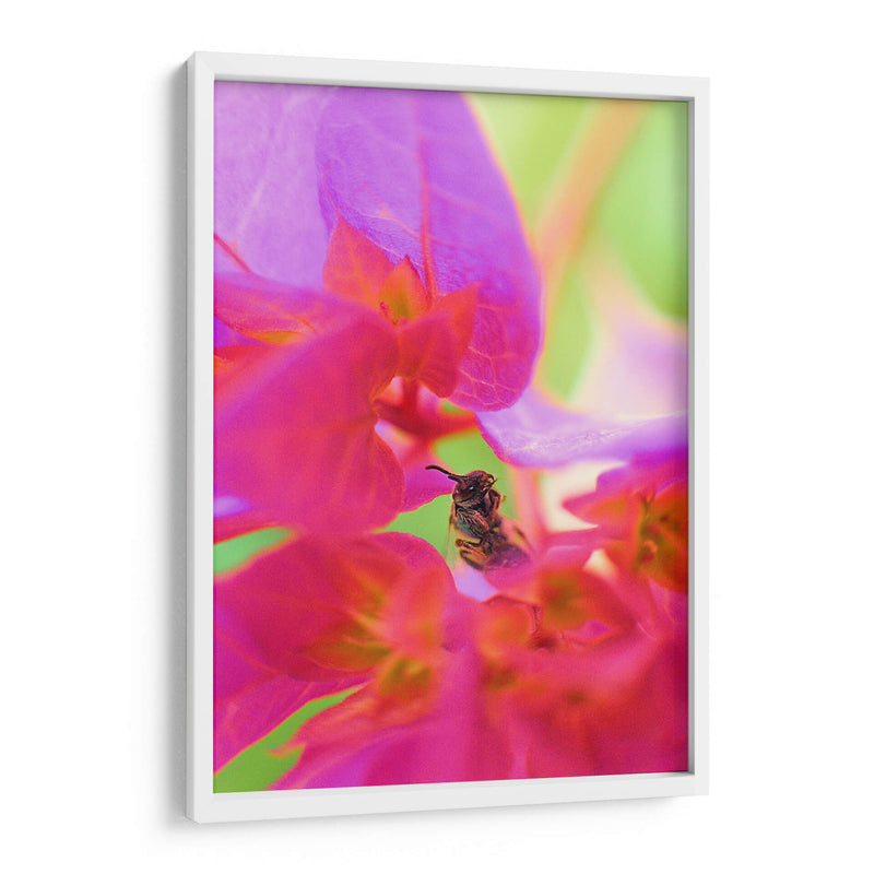 Insecto entre flores - Dreamer Studio | Cuadro decorativo de Canvas Lab