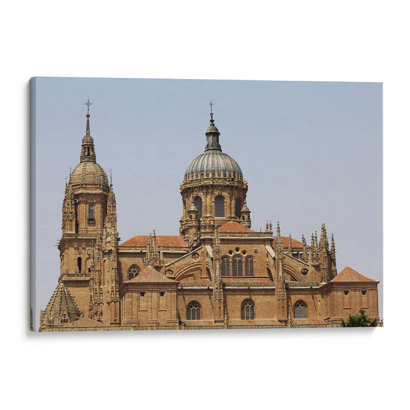 Catedral de Salamanca - Carlos Franken | Cuadro decorativo de Canvas Lab