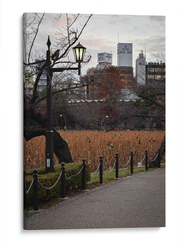 Parque en Otoño, Tokio, Japón - Luis Velasco | Cuadro decorativo de Canvas Lab