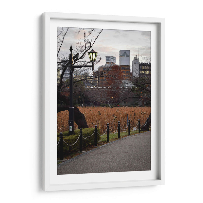 Parque en Otoño, Tokio, Japón - Luis Velasco | Cuadro decorativo de Canvas Lab