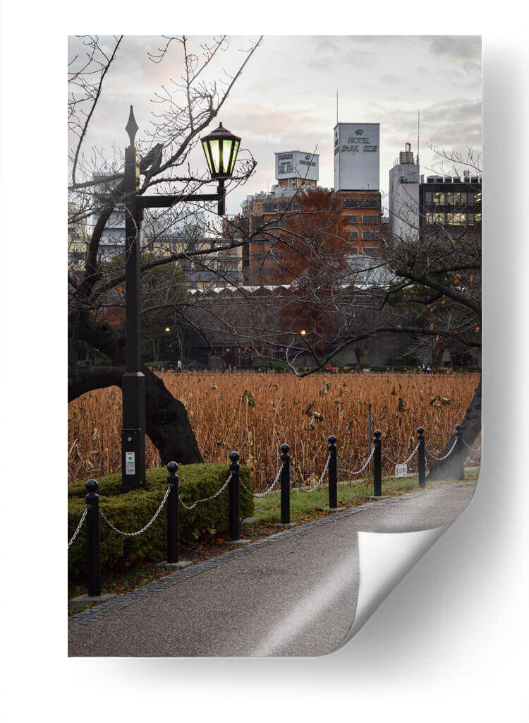 Parque en Otoño, Tokio, Japón - Luis Velasco | Cuadro decorativo de Canvas Lab