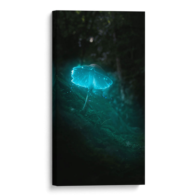 blue mushroom - Davossm | Cuadro decorativo de Canvas Lab