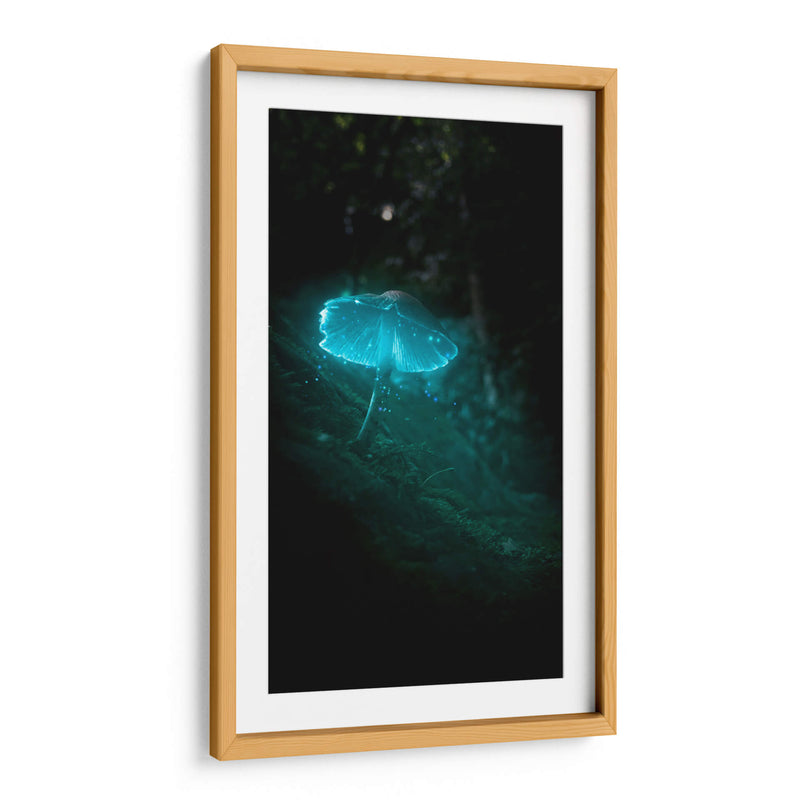 blue mushroom - Davossm | Cuadro decorativo de Canvas Lab
