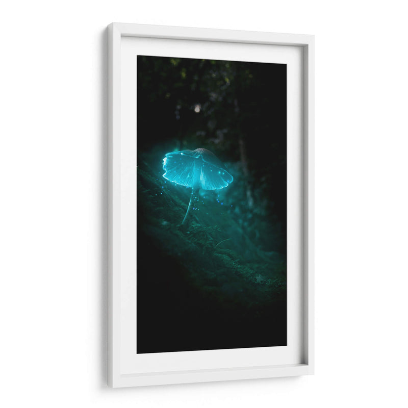 blue mushroom - Davossm | Cuadro decorativo de Canvas Lab
