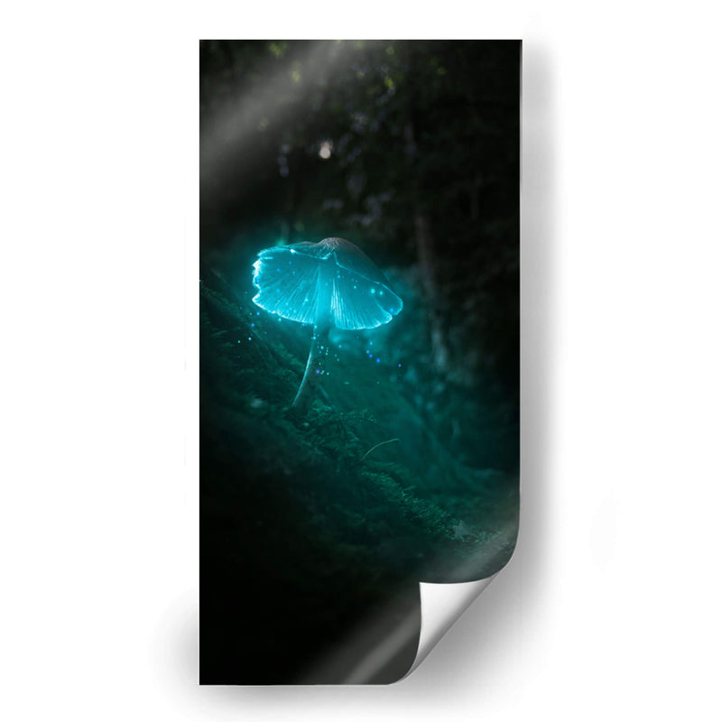 blue mushroom - Davossm | Cuadro decorativo de Canvas Lab