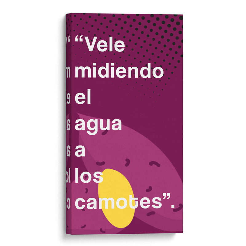 Vele midiendo 001 - Jorge Méndez | Cuadro decorativo de Canvas Lab