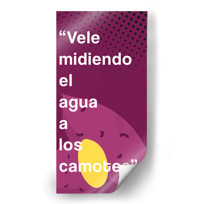Vele midiendo 001 - Jorge Méndez | Cuadro decorativo de Canvas Lab