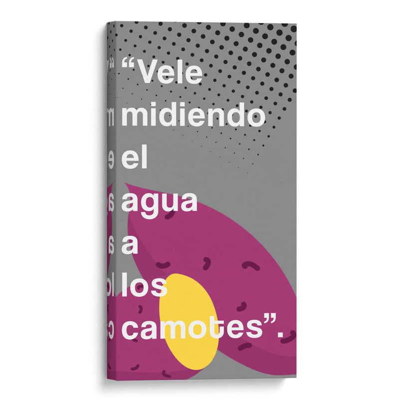 Vele midiendo 002 - Jorge Méndez | Cuadro decorativo de Canvas Lab