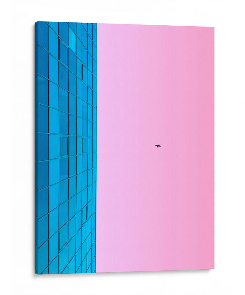 Vuelo rosa | Cuadro decorativo de Canvas Lab