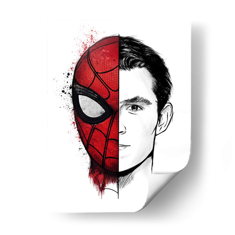 Spiderman Tom - Fake Classics | Cuadro decorativo de Canvas Lab