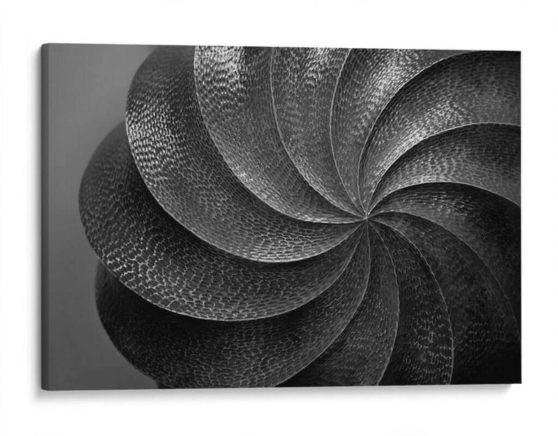 NAUTILUS - MICHEL ARCIGA LIFESTYLE PHOTOGRAPHY | Cuadro decorativo de Canvas Lab