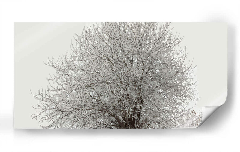 Árbol nevado - Jabin Adiel | Cuadro decorativo de Canvas Lab