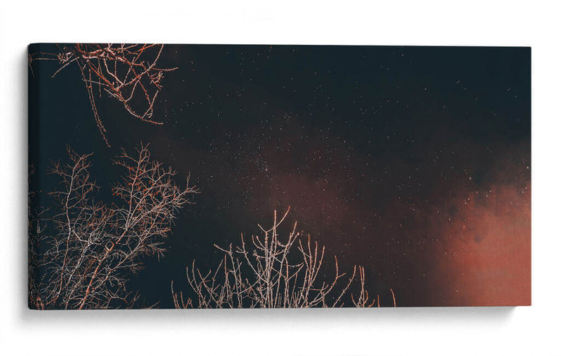 Noche estrellada - Jabin Adiel | Cuadro decorativo de Canvas Lab